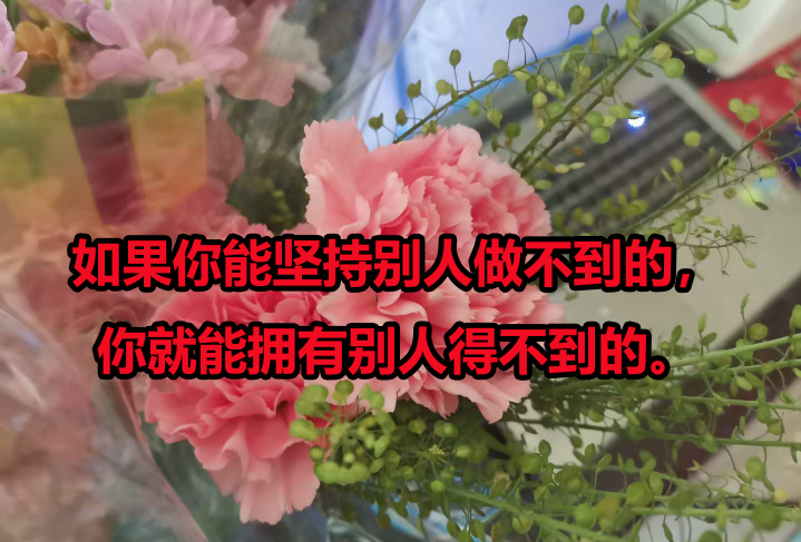 考博小白必读：考博科普扫盲问答