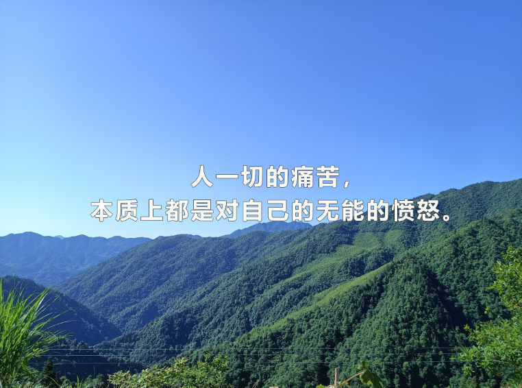 中央党校考博复习方法、经验和攻略？