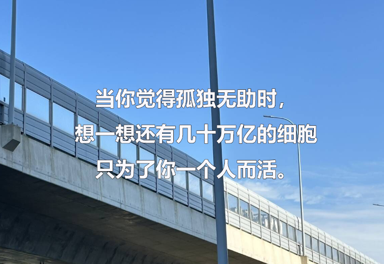 华慧考博:考博面试问答个性类问题及答案分享