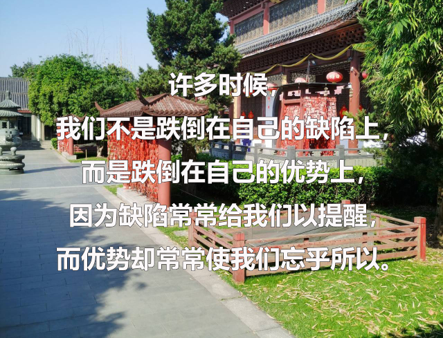 华慧考博学员考博成功上岸三要素