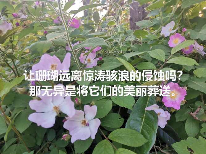 华慧考博：考博阅读理解词义猜测题该怎么去猜？