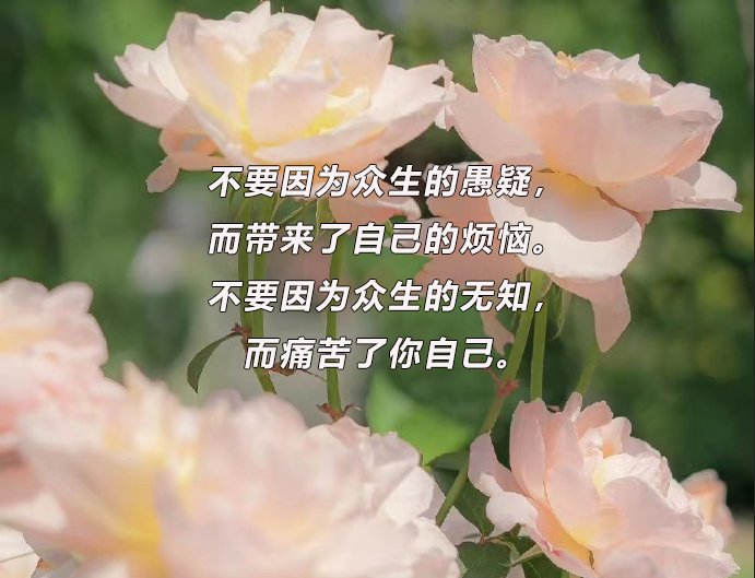 华慧考博：医学考博英语统考的几个备考误区