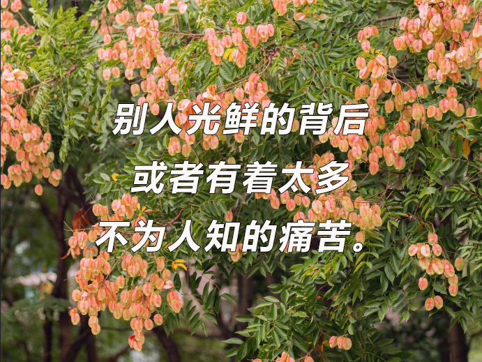 华慧考博：如何提前准备考博英语口语