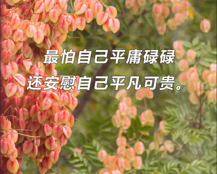 华慧考博：攻克考博英语长难句需要注意的几点