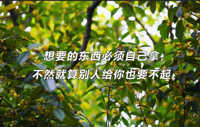 华慧考博：考博英语听力如何高效练习？