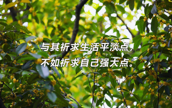 南通大学2024年博士研究生招生考试参考书目