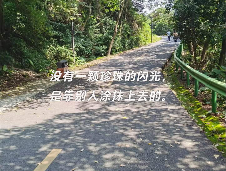 沈阳大学关于2024年博士研究生招生考试参考书目的说明