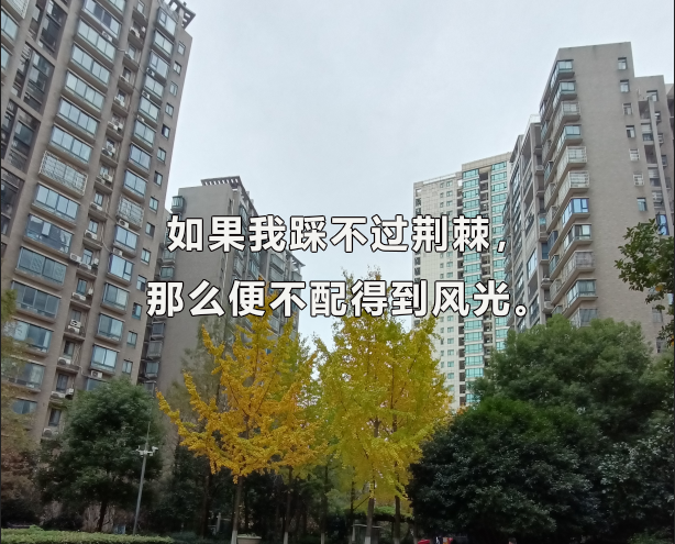 2024年辽宁中医药大学考博报名时间、招生名额、考试时间、报名