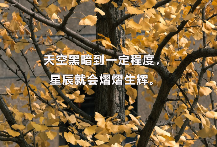 2024年杭州师范大学考博报名时间、招生名额、考试时间、报名条
