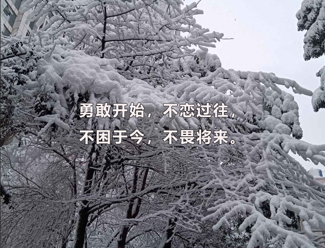 2024年中央音乐学院考博报名时间、招生名额、考试时间、报名条