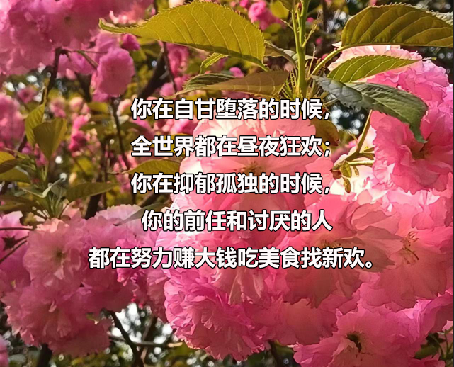 广西医科大学2024年博士研究生(含在职博士)复试资格分数线要求