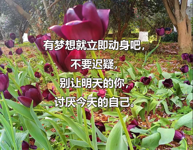 考博复试：考博面试如何准备,考博面试通常考查哪些内容?