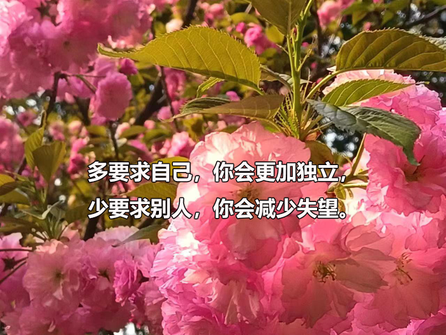 24年医学考博后记：细节处决定结果，医学写作考前预测成真了