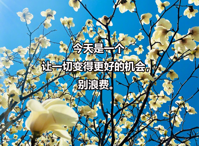 考博指南:马克思主义理论博士点汇总(含一级学科博士点及二级