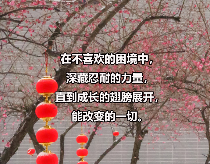 西南科技大学2024年普通招考博士研究生招生考试考生进入复试的