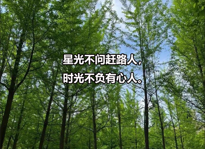 华慧考博英语辅导案例：在读医学博士统考成功上岸经历