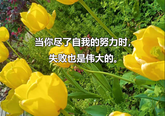 华东交通大学2024年博士研究生招生复试分数线要求