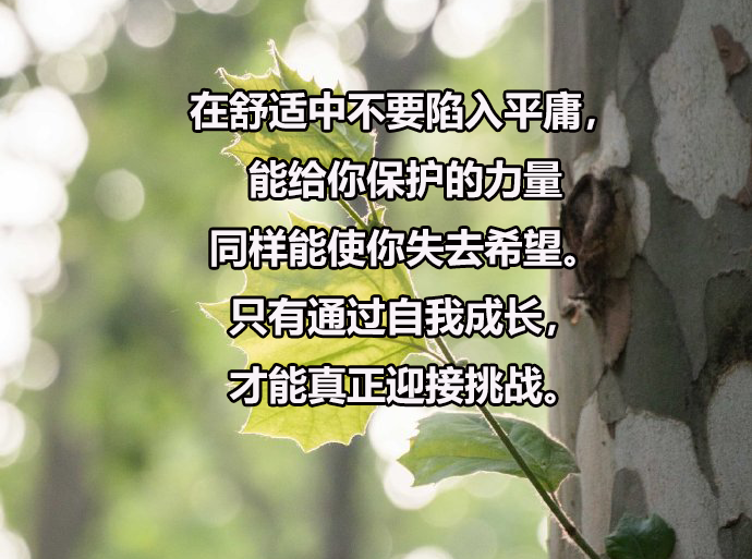 长安大学2024年博士研究生招生各学院分专业复试分数线