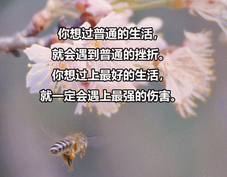 大连海事大学2024年以普通招考方式博士研究生复试分数线要求