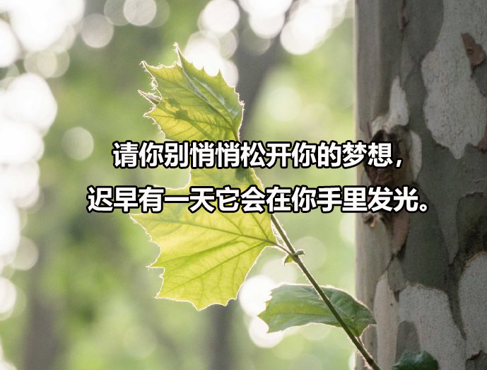 重庆医科大学招在职博士吗，在职博士招生需要什么条件？