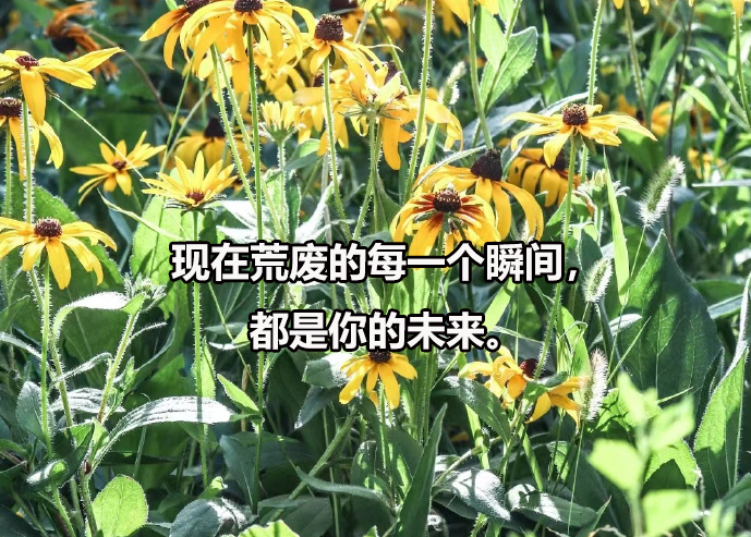 中国中医科学院招在职博士吗，在职博士招生需要什么条件？