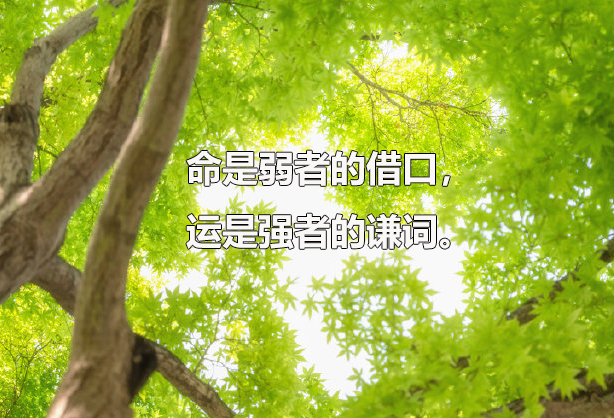 北京中医药大学招在职博士吗，在职博士招生需要什么条件？