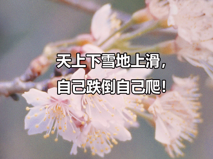贵州医科大学招在职博士吗，在职博士招生需要什么条件？