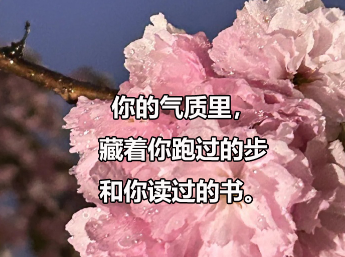 浙江大学招在职博士吗，在职博士招生需要什么条件？