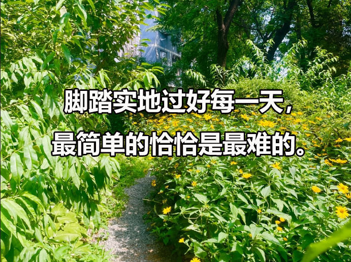 华南理工大学招在职博士吗，在职博士招生需要什么条件？
