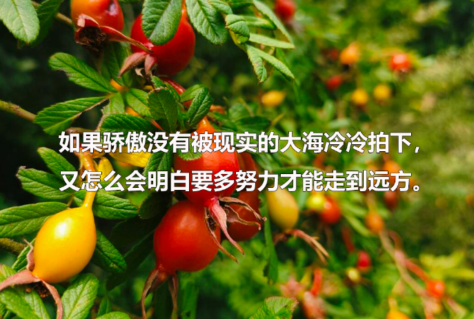 苏州大学招在职博士吗，在职博士招生需要什么条件？