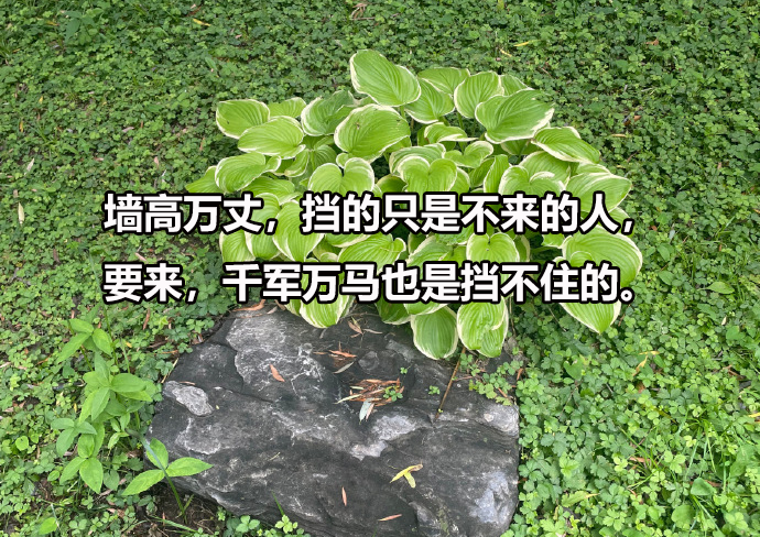 徐州医科大学招在职博士吗，在职博士招生需要什么条件？