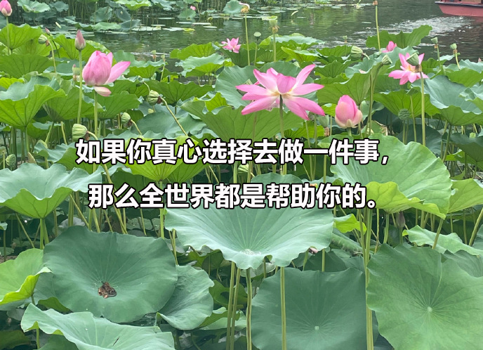 广州中医药大学招在职博士吗，在职博士招生需要什么条件？