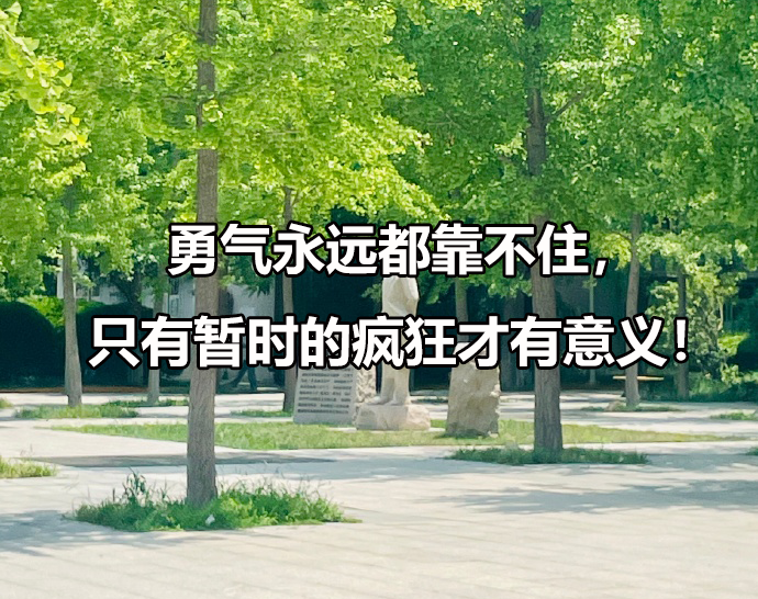 山东中医药大学招在职博士吗，在职博士招生需要什么条件？