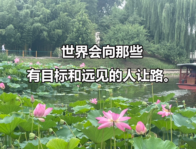 青岛大学招在职博士吗，在职博士招生需要什么条件？