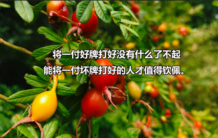 考博成功案例两则：他们是我映象深刻的学员