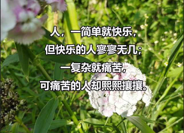 考博指南：申请博士之前应该做哪些学术准备？
