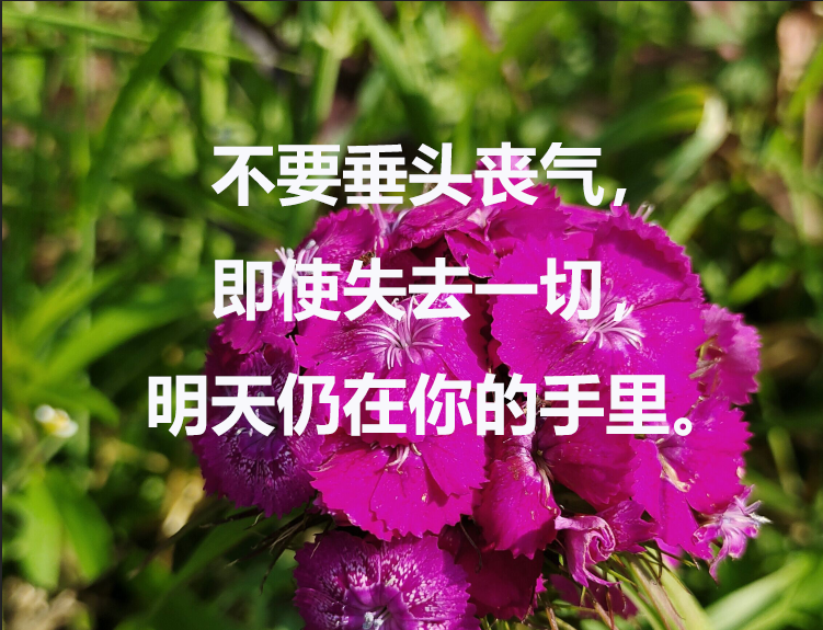 考博英语语法：英语长难句过程中常见疑点分析